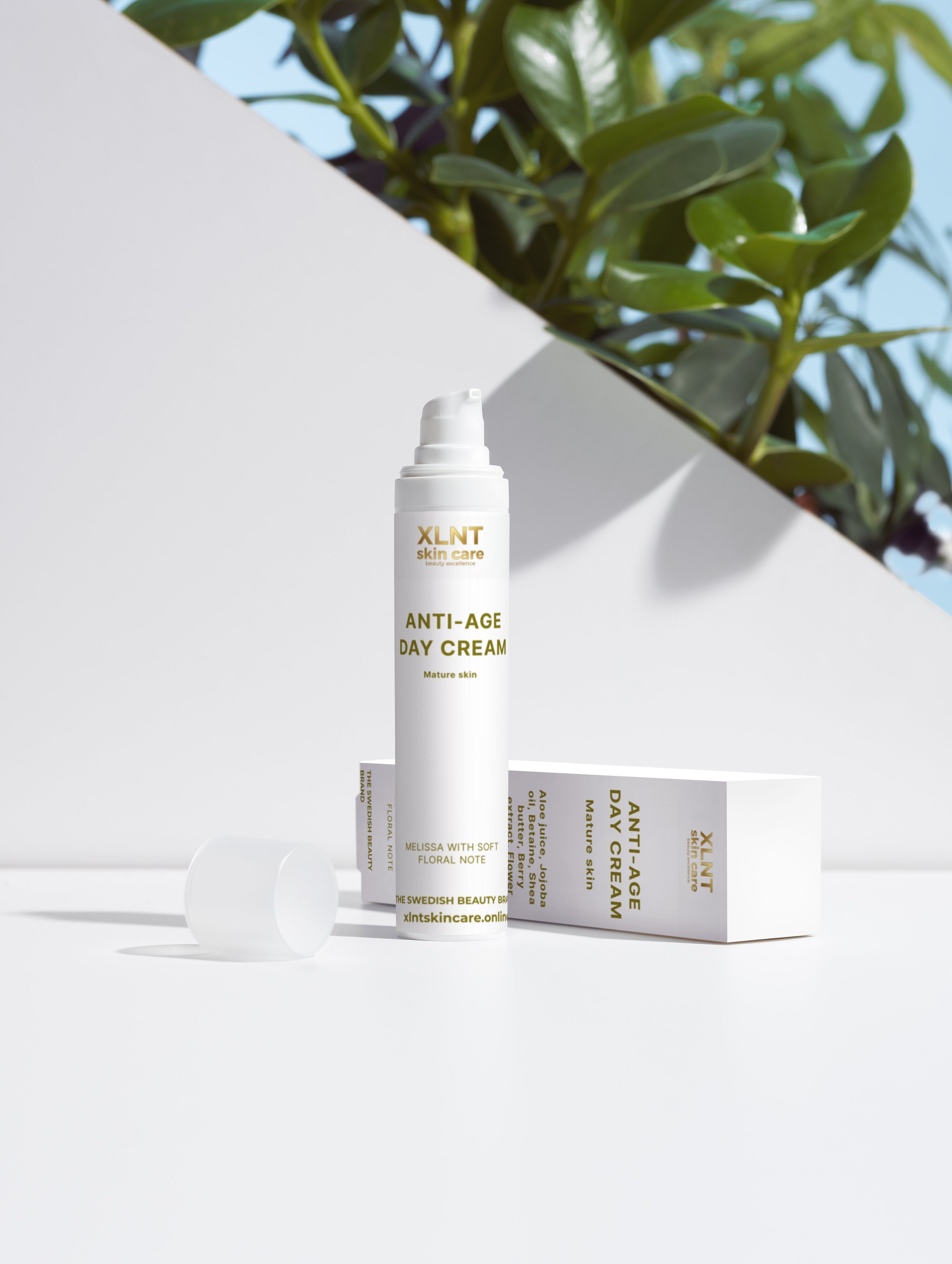 XLNT The Age-Defying Trio Collection Box