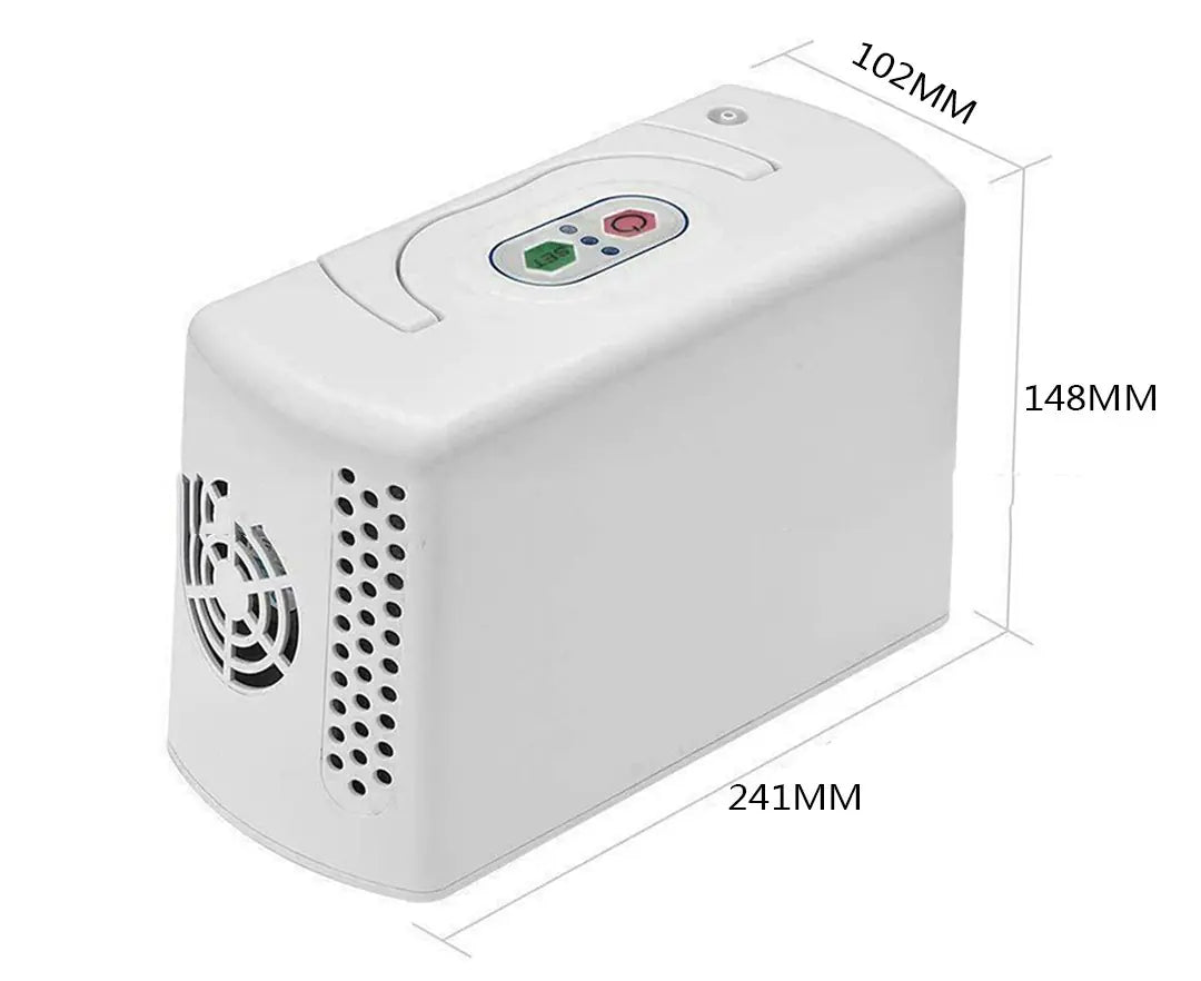 Portable Oxygen Concentrator Air Purifier for Car
