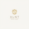 XLNT skin care